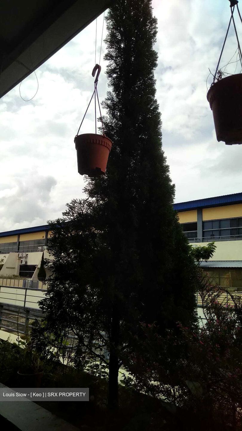 Woodlands Bizhub (D27), Factory #558651011